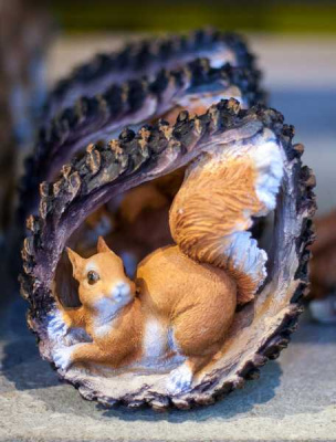 Белка в шишке