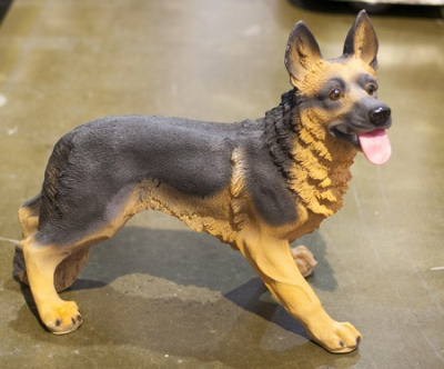 Собака овчарка средняя стоячая