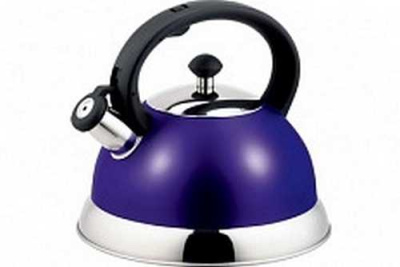 Чайник нерж 2,5л со св фиолетовый TM Appetite