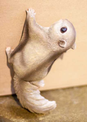 Белка-летяга