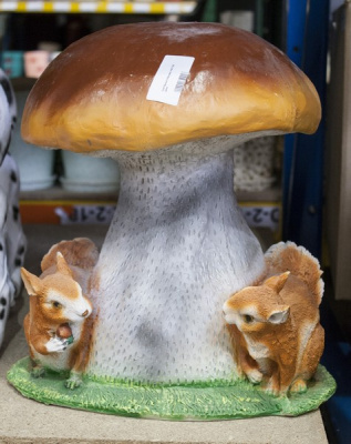 Гриб белый с белками 