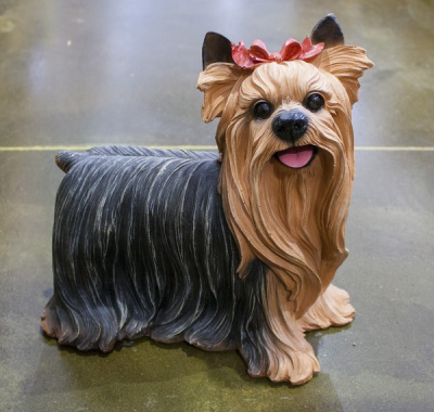 Собака Йорк 