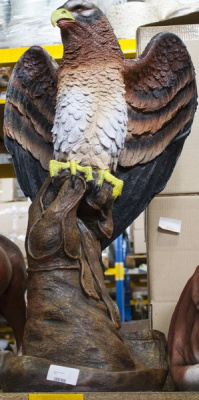 Сокол на перчатке