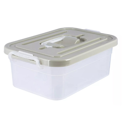 Контейнер для хранения 4л 310х200х105мм (то)