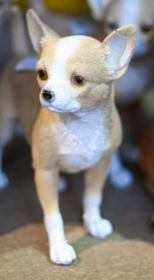 Щенок чихуахуа 26*10*2*24,2 см