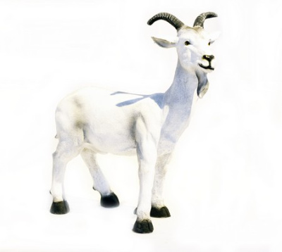Коза 65*48 см