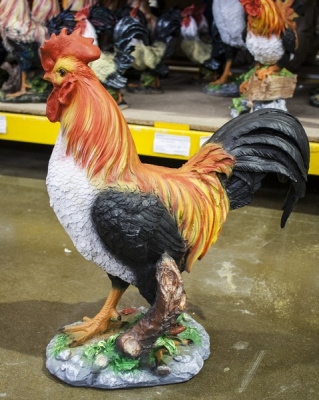 Петух большой с длинным хвостом 57см