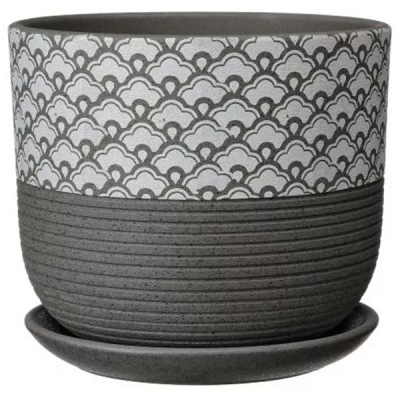 Горшок бук хоккайдо сер.N1 d12см