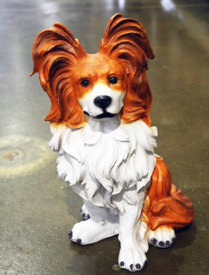 Собака папильон