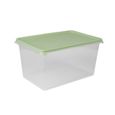 Контейнер Freshpak 6л (чайное дерево)(то)