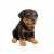 Щенок ротвейлера малый	16*12*16см