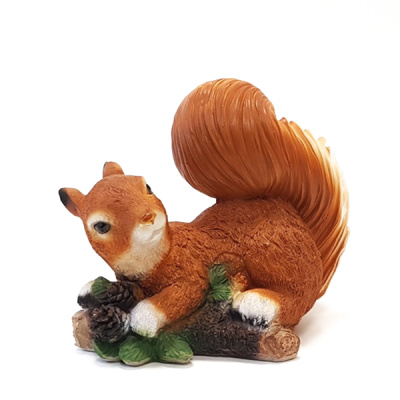 Белка  игривая на коряге с шишками