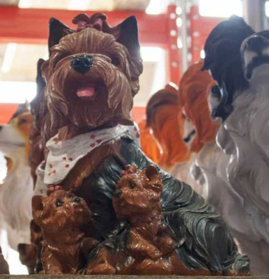 Собака Йорк со щенками  сидящий