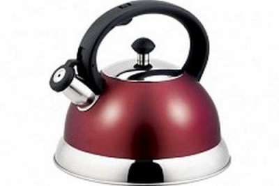 Чайник нерж 2,5л со св красный TM Appetite