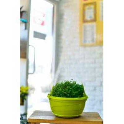 Горшок "Венеция" D22,5, с поддоном 2,75л фисташка (то)