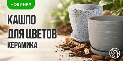 НОВОЕ ПОСТУПЛЕНИЕ КАШПО ДЛЯ ЦВЕТОВ КЕРАМИКА №2