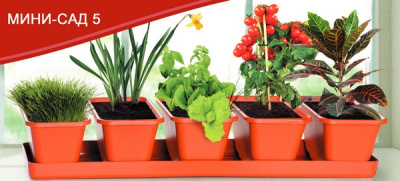 Мини-сад 5 горшков + поддон 53см