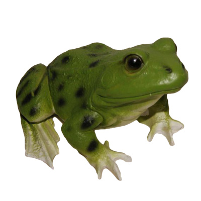 Лягушка малая