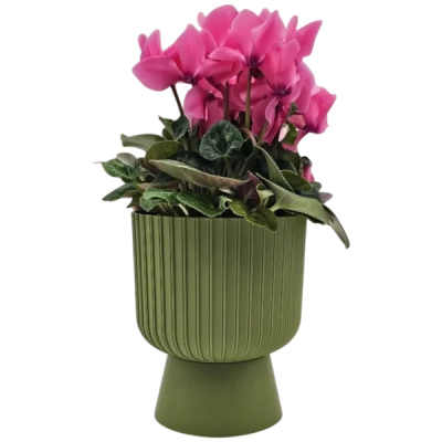 Горшок "Бекер", D17,5, 2,8л, папоротник (то)