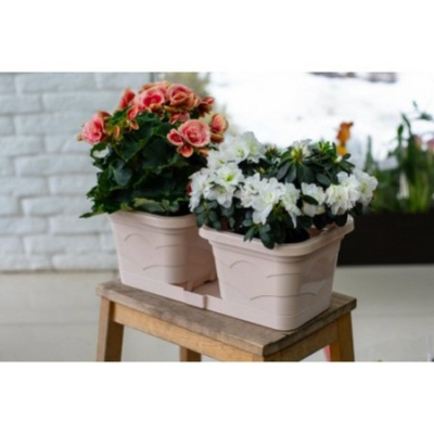 Цветочный дуэт "Валенсия", 2*2,9л, пудра (то)