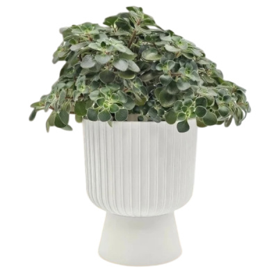 Горшок "Бекер", D25, 8,6л, белый (то)