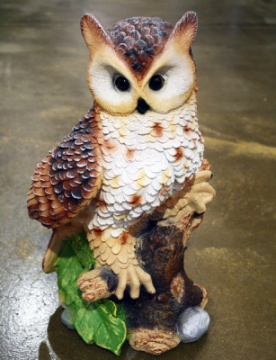 Филин на коряге