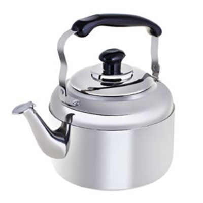 Чайник нерж 5,0л без свистка RGS-8515