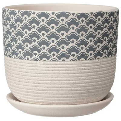 Горшок бук хоккайдо бел.N3 d18см