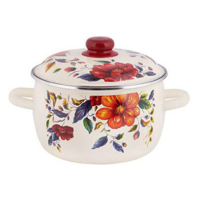 Кастрюля эмал сфер Anemone 5,5л ТМ Appetite