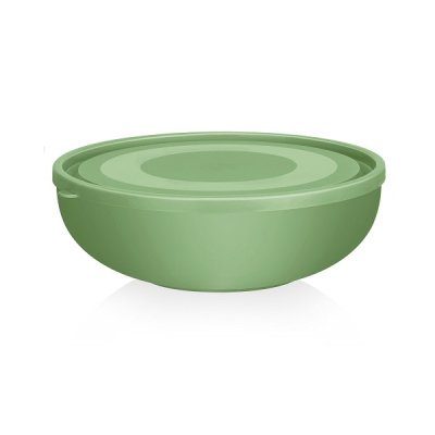 Салатница с крышкой 2,6л (то)