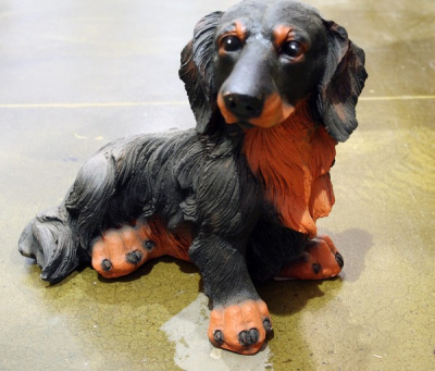 Собака Такса длинношерстная большая черная