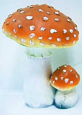 Гриб мухомор двойной