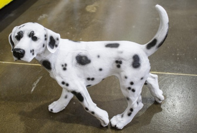 Собака долматин бегущий