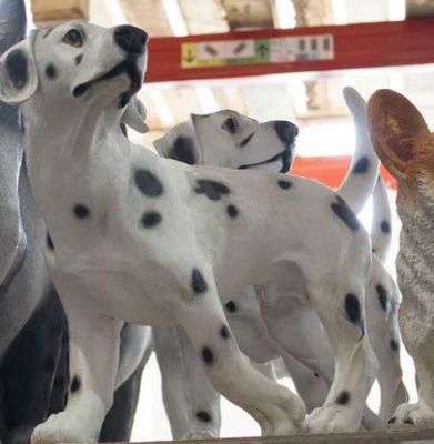 Собака долматин бегущая