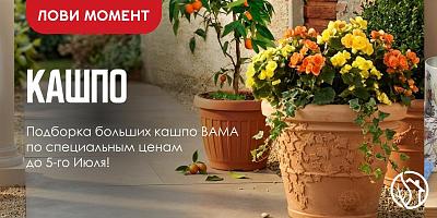 АКЦИЯ НА КАШПО BAMA