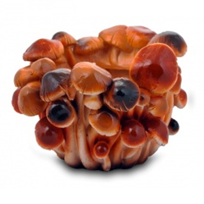 Кашпо "Опята"