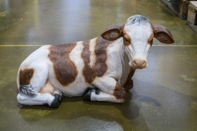 Теленок лежащий 